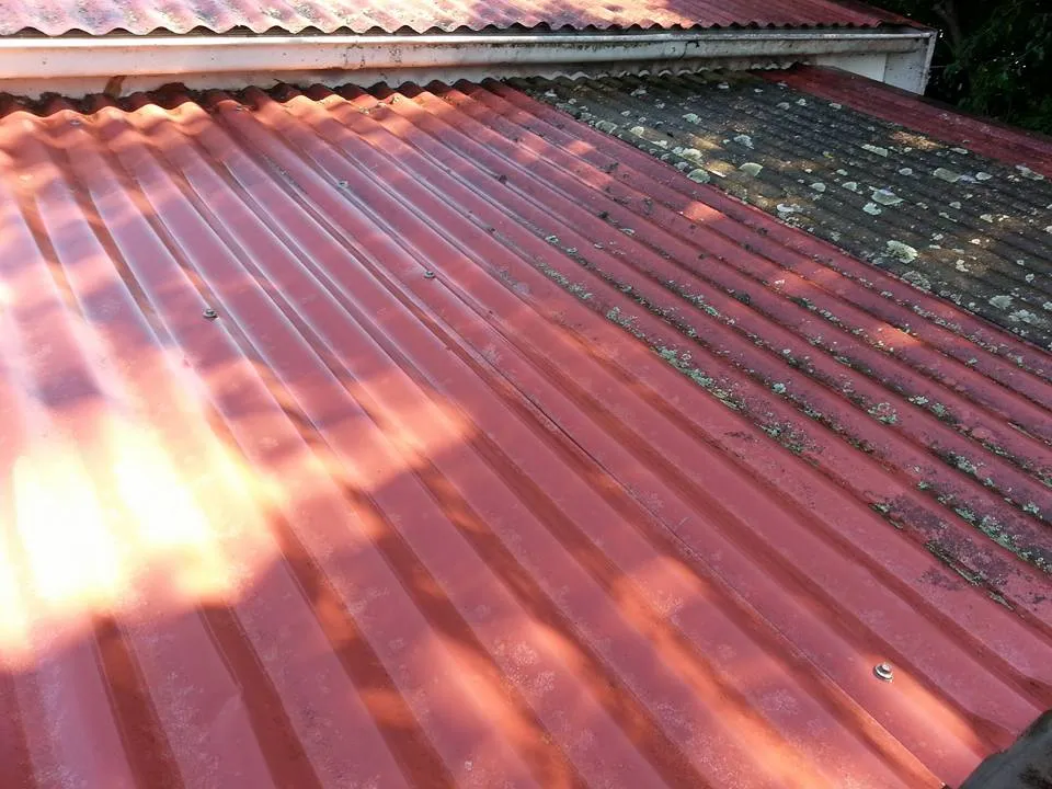 Pressure & Soft Washing