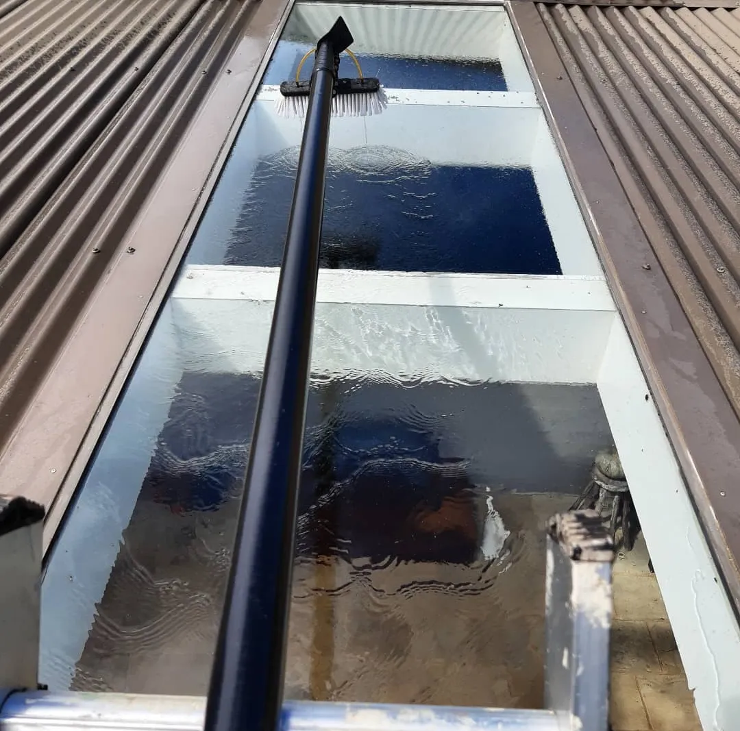 Skylight Cleaning